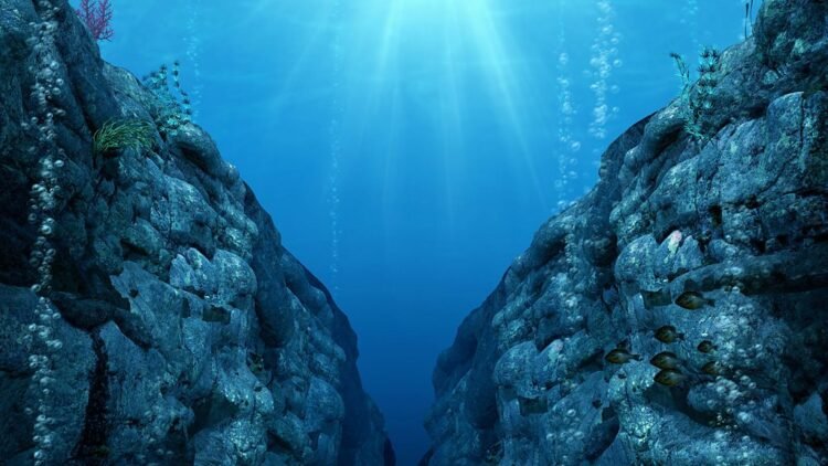 The Documentary PodcastIn Our Time: The Mariana Trench