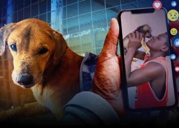 BBC Audio | The Documentary Podcast