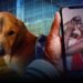 BBC Audio | The Documentary Podcast