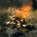 Due to Dry Conditions: Prague Extends Open Fire Ban Until Tuesday