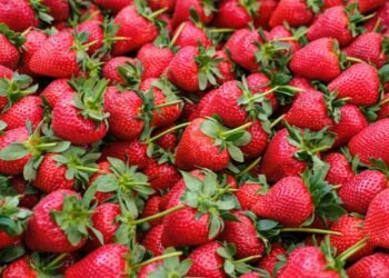 Sweeter, Riper, Local: Why It Is Worth Waiting for Strawberries