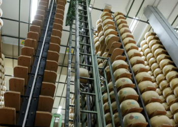 Unique in the world: This bank takes cheese as collateral