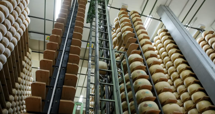 Unique in the world: This bank takes cheese as collateral