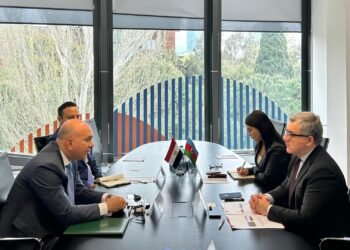 Azerbaijan and Egypt discuss expanding partnership in private sector