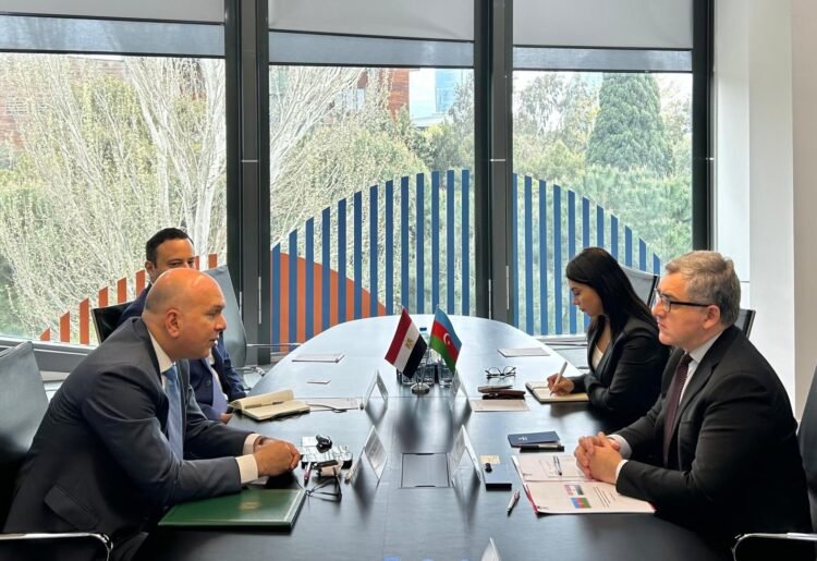 Azerbaijan and Egypt discuss expanding partnership in private sector