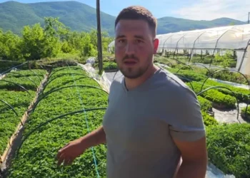 (VIDEO) Refused to leave BiH, quit his job and built a business with 150,000 seedlings