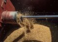 Government to provide funds to farmers to deal with impact of Middle East conflict