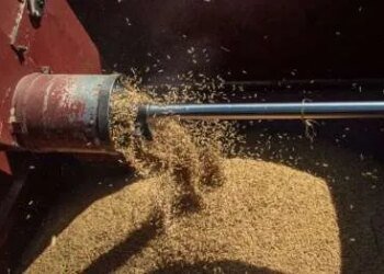 Government to provide funds to farmers to deal with impact of Middle East conflict