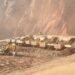 EFSD: Tajikistan raised a record $4.9 billion for development projects