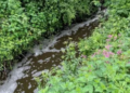 Great Britain: Dorset Farmers To Pay £33,500 Over Slurry Handling