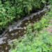 Great Britain: Dorset Farmers To Pay £33,500 Over Slurry Handling