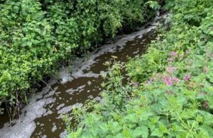 Great Britain: Dorset Farmers To Pay £33,500 Over Slurry Handling