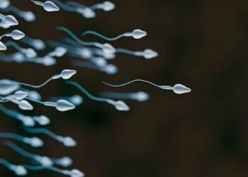 Sperm race will be held for the first time in the world: The prize is 4.5 million TL