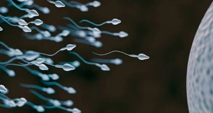Sperm race will be held for the first time in the world: The prize is 4.5 million TL