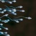 Sperm race will be held for the first time in the world: The prize is 4.5 million TL