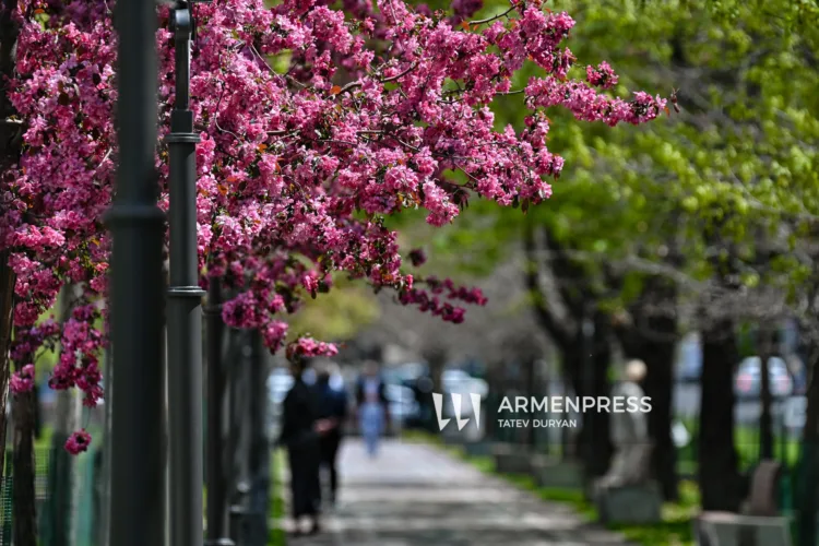 Rainfall is expected in Armenia in the coming days