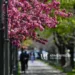 Rainfall is expected in Armenia in the coming days