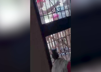 Nehru Geban Tried to Save a Child, Then Police Locked Him Up