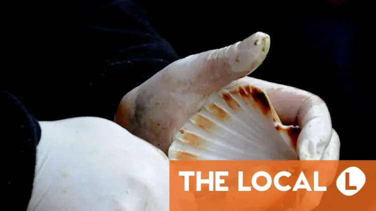 La Belle Vie: Seafood festivals to choosing trains over planes