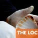 La Belle Vie: Seafood festivals to choosing trains over planes