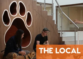 How to find pet-sitters or boarding kennels in France