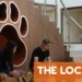 How to find pet-sitters or boarding kennels in France