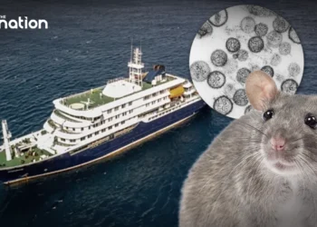 Cruise ship hantavirus outbreak in Atlantic under WHO watch