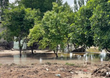 A broken wall, a flooded yard: a photo report from Rapkon