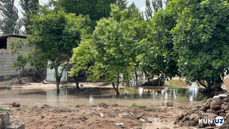 A broken wall, a flooded yard: a photo report from Rapkon
