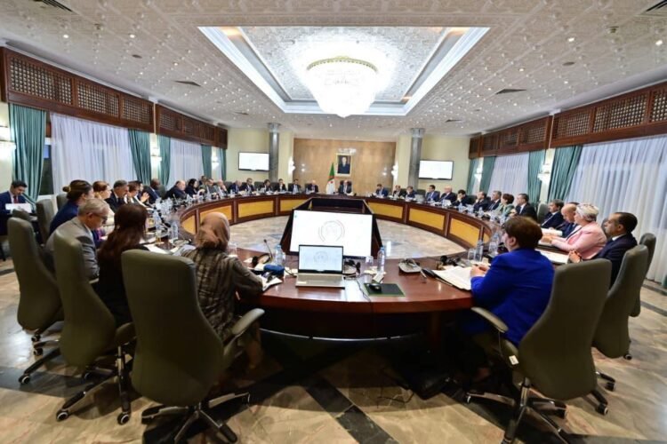 These are the most important files studied by the government meeting today – Al-Shorouk Online