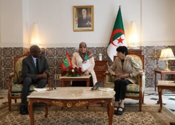 Asalaoui receives the President of the Constitutional Council of Mauritania – Al-Shorouk Online