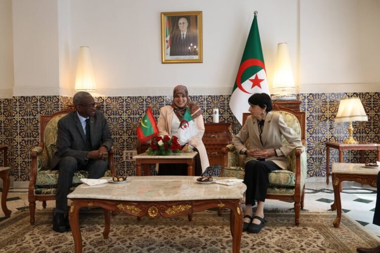 Asalaoui receives the President of the Constitutional Council of Mauritania – Al-Shorouk Online