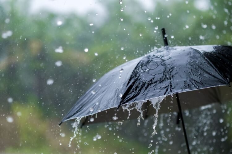 Special alert: Very heavy thunderstorms across 38 states – Al-Shorouk Online