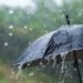 Special alert: Very heavy thunderstorms across 38 states – Al-Shorouk Online