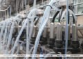 Lukashenko outlines approach to merging agricultural enterprises