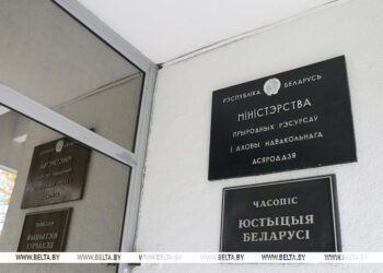 Lukashenko: Natural Resources Ministry is a “ministry of ministries”, yet its work falls short  