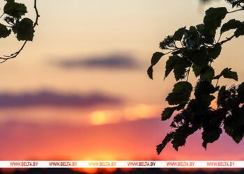 Lukashenko: People in Belarus have turned their attention to nature, but not all of them