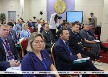 Development Bank identifies promising growth points for Union State economy