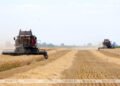 Areas for forming a common agricultural policy outlined in Union State