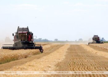 Areas for forming a common agricultural policy outlined in Union State
