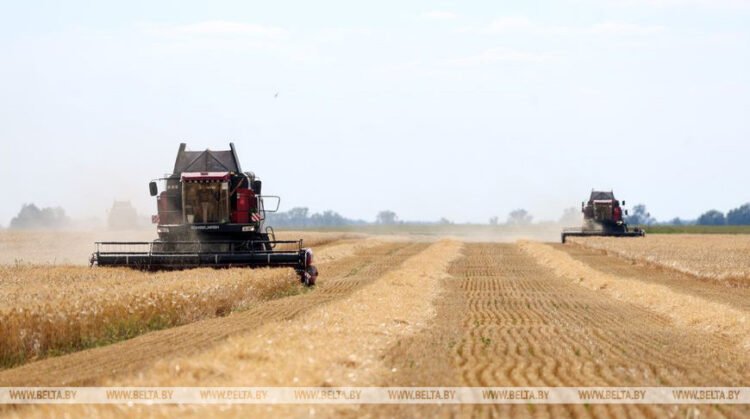 Areas for forming a common agricultural policy outlined in Union State