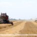 Areas for forming a common agricultural policy outlined in Union State
