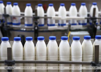 Belarus, Russia achieve high level of self-sufficiency in agricultural products