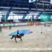 International eventing tournament kicks off in Ratomka