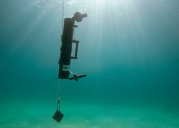 China seeks to expand extraction of strategic minerals from seawater | Partners | Belarus News | Belarusian news | Belarus today | news in Belarus | Minsk news