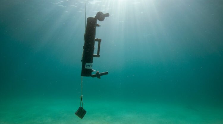 China seeks to expand extraction of strategic minerals from seawater | Partners | Belarus News | Belarusian news | Belarus today | news in Belarus | Minsk news
