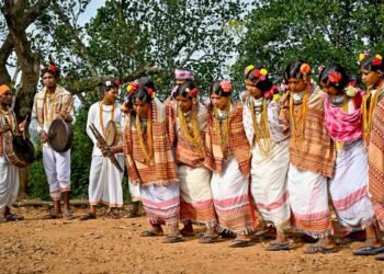Dongria Kondh of Niyamgiri: Where forests, food and faith shape daily life