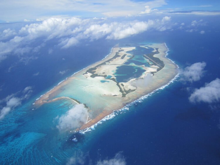 Palmyra Atoll Is Critical To Ocean Conservation Worldwide