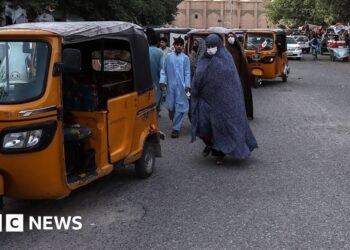 Afghanistan: Two dead after women take part in Herat protest