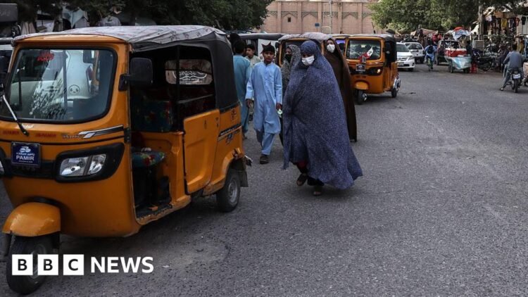 Afghanistan: Two dead after women take part in Herat protest
